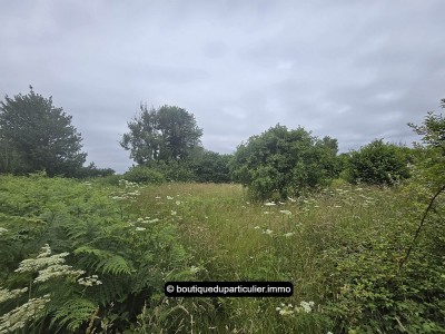 En savoir plus